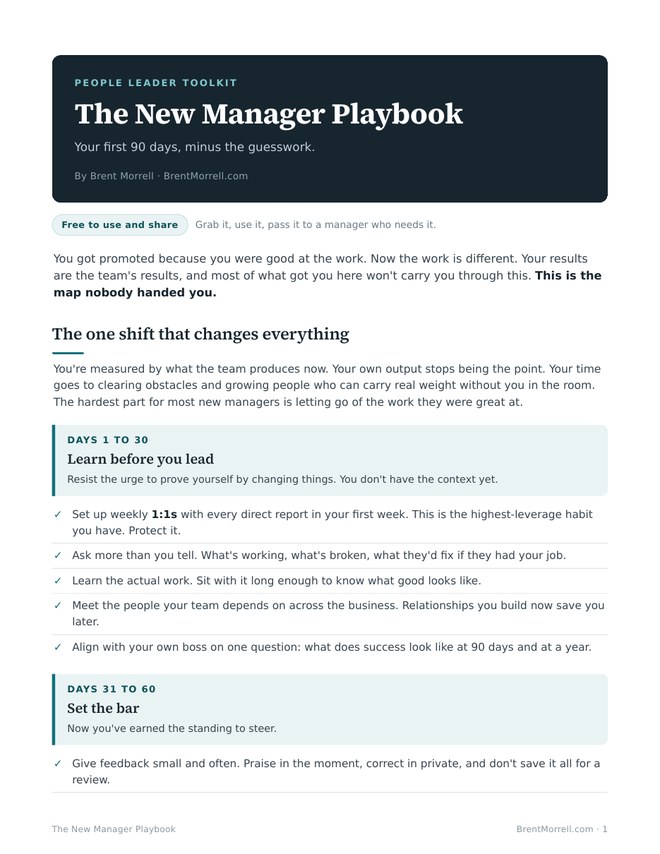 First page of The New Manager Playbook